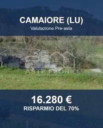 Immobile in asta di 16323 m² a Camaiore