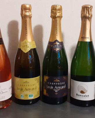 Lotto 6 champagne da assaggiare NON TRATTABILE 