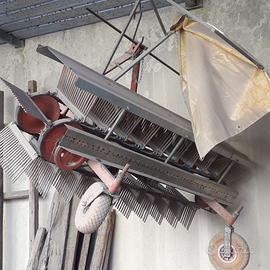 Scopatrice foglie,detriti, in terreni e spiagge.