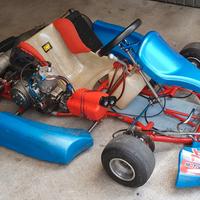 Go Kart Birel + motore TM K8