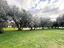 Immagine 22