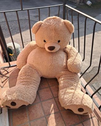 peluche orso gigante