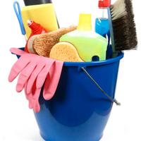 Pulizie domestiche e dogsitter zona Castelli