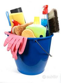 Pulizie domestiche e dogsitter zona Castelli