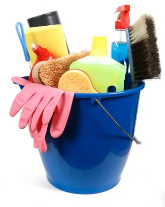 Pulizie domestiche e dogsitter zona Castelli