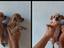 Immagine 5