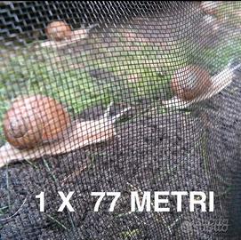 Rete AGRIRETE 77m allevamento lumache