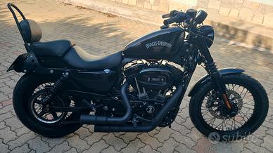 harley sposter nigthster 