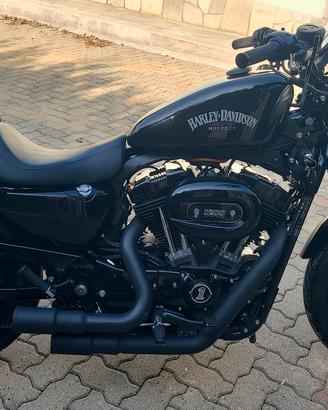 harley sposter nigthster 
