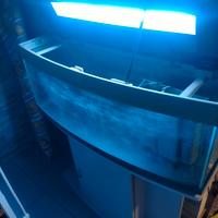 Acquario 120 litri