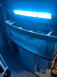 Acquario 120 litri