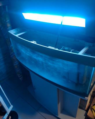 Acquario 120 litri