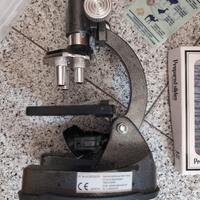 microscopio ottico e vetrini
