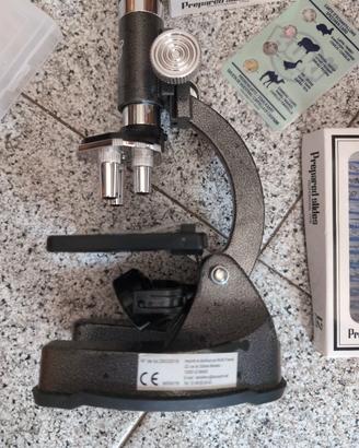 microscopio ottico e vetrini