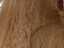 Immagine 9
