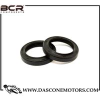 Paraoli Forcella D. 42 X 54 X 11 – Tipo RSD2 (Copp