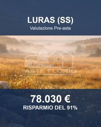Immobile in asta di 216349 m² a Luras