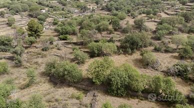 Rif.AL236| terreno agricolo belpasso