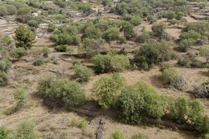Rif.AL236| terreno agricolo belpasso