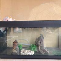 Acquario 100 litri