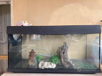 Acquario 100 litri