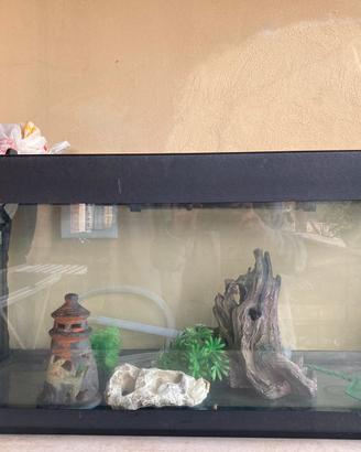 Acquario 100 litri