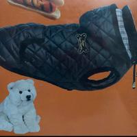 Cappottino trapuntato per cani di piccola taglia