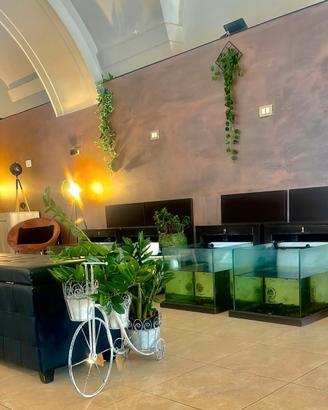 Vasche fish therapy o acquario