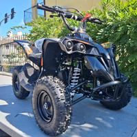 MINI QUAD 50cc 2 TEMPI RUOTE 6" RENEGADE