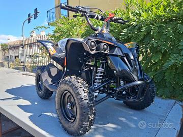 MINI QUAD 50cc 2 TEMPI RUOTE 6" RENEGADE