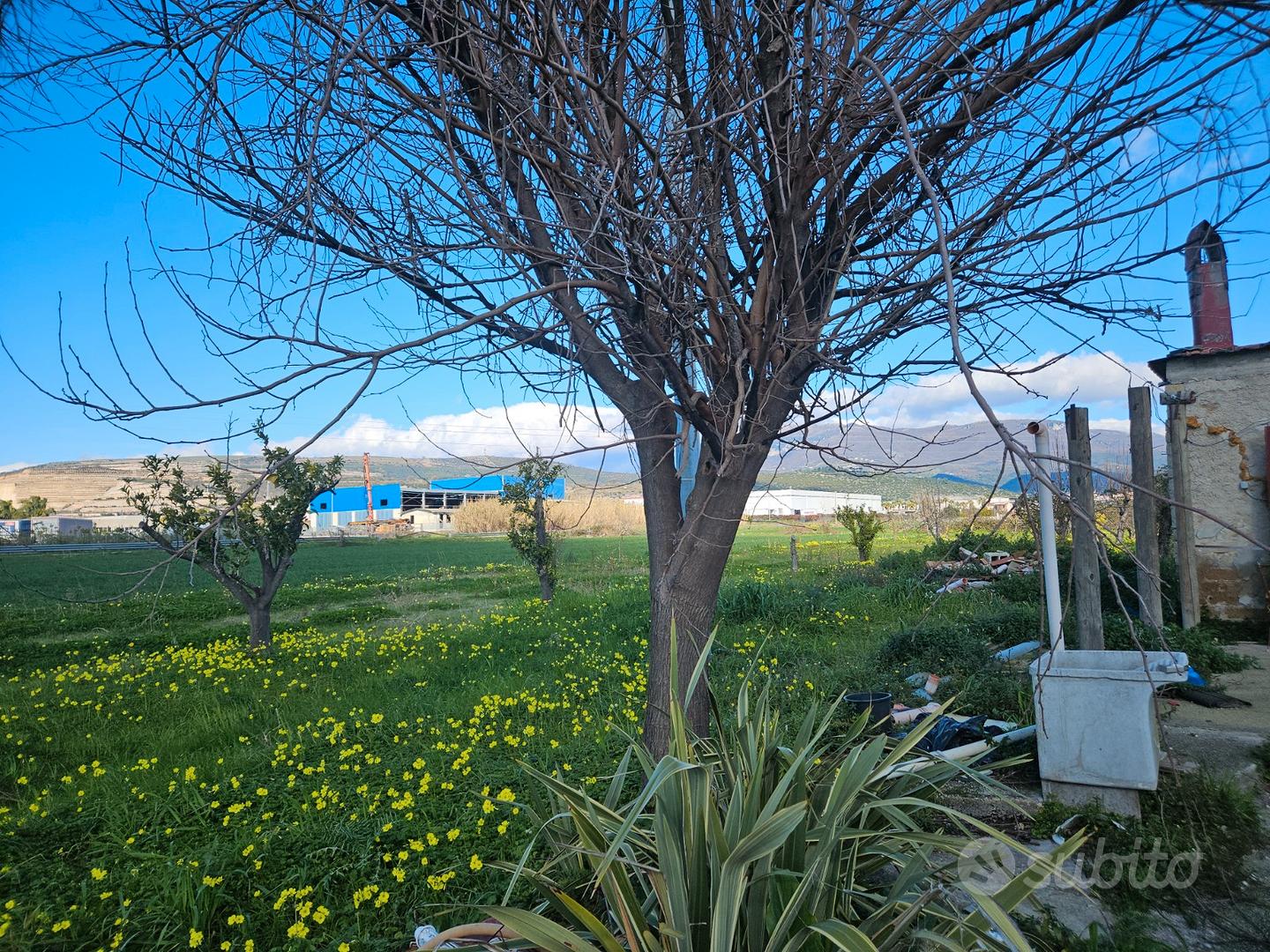 Terreno agricolo con rudere agricolo - Altro