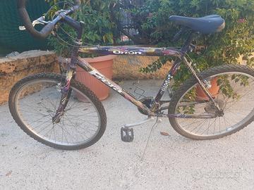 bicicletta