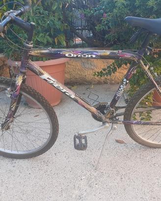 bicicletta