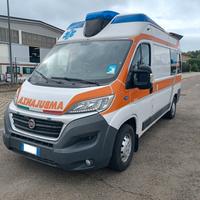 Ambulanza ORION - Fiat Ducato 2017 - E23-91066