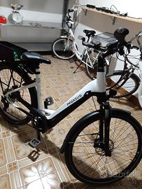 Bici elettrica Pegasus