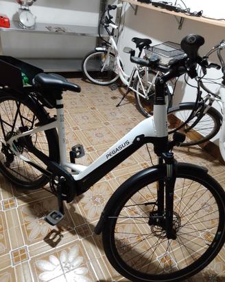 Bici elettrica Pegasus