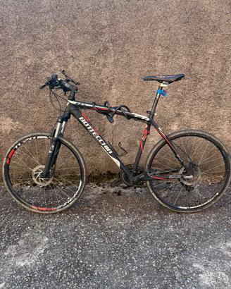 Bici Bottecchia 11sFX