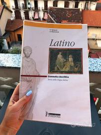 Latino, Grammatica Descrittiva