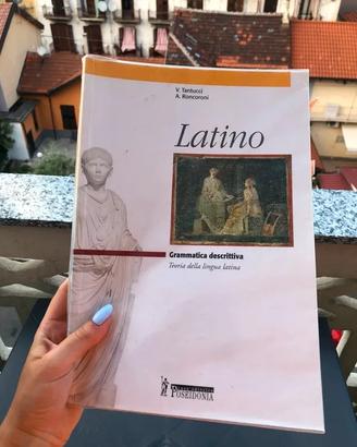 Latino, Grammatica Descrittiva