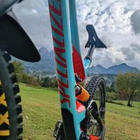 Specialized demo 8 carbon DH