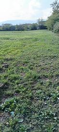TERRENO non EDIFICABILE 