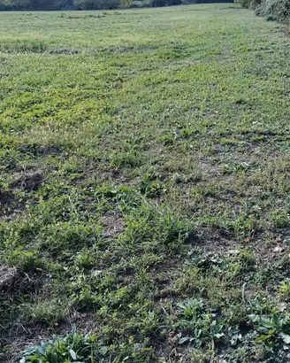 TERRENO non EDIFICABILE 