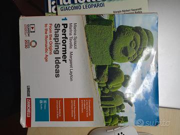 performer shaping ideas 1