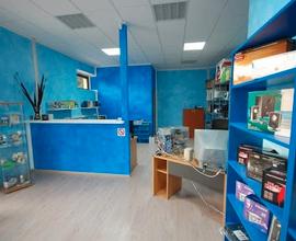 Locale commerciale negozio ufficio c1