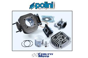 Kit gruppo Polini d. 47 Evolution Big Valve ghisa