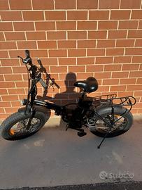 Bicicletta elettrica