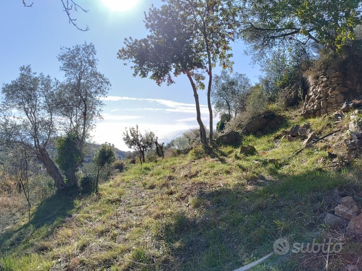 RUSTICO A SANREMO - Vista 5