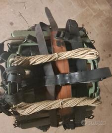 basti per asini cavalli e muli. 