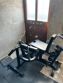 Macchina leg extension / leg curl