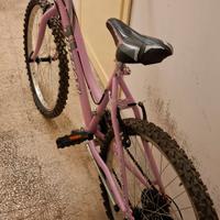 Bici Mountain bike ragazza 24 pollici